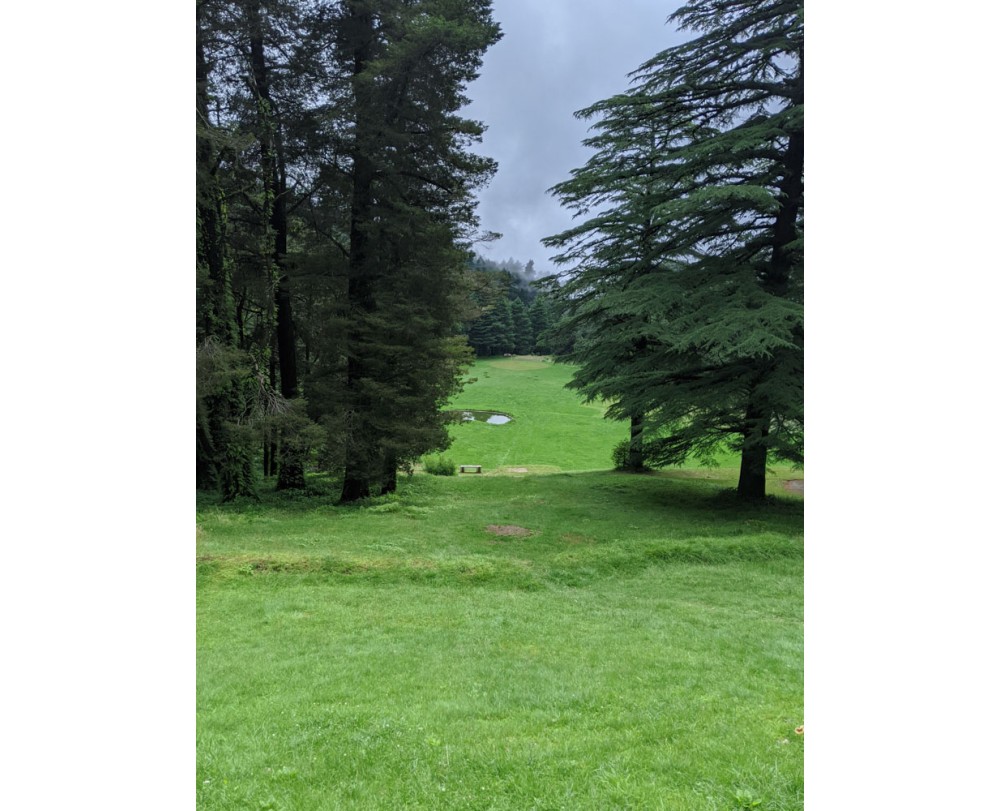 The Golf Course