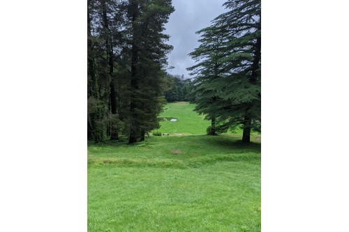 The Golf Course