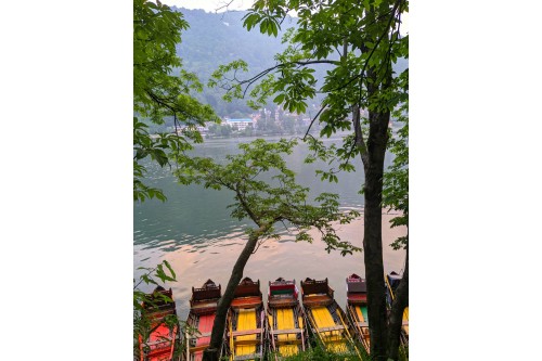 Take me to the lake