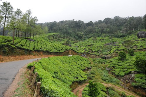 Panorama of Rolling Hills