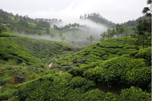 Munnar 