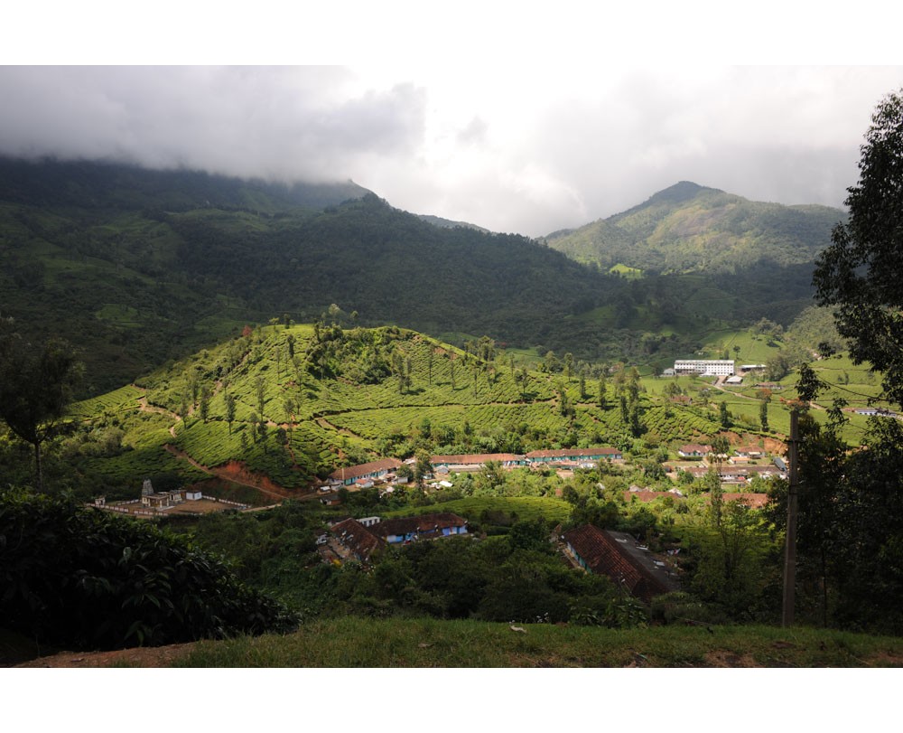 Nilgiris