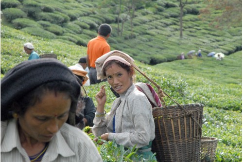 Smiling Worker